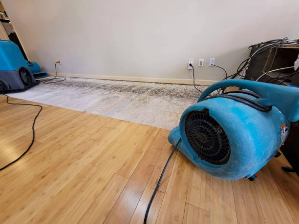 Professional Flood Damage Cleanup technician working in Barboursville, WV